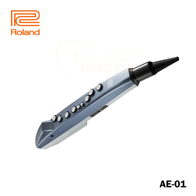 Roland Aerophone mini AE-01 Digital Wind Instrument AE 01 Compact