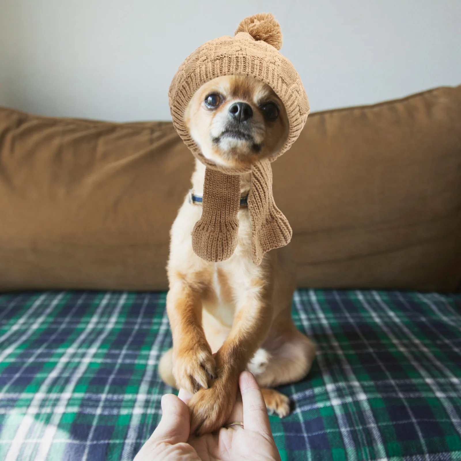 

Вязаная зимняя шапка для собак с шарфом, теплая шапка для собак, вязаный шарф, маленькая шапка для собак, теплая зимняя шапка для домашних животных, платье для домашних животных, головной убор