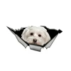 LYKX Lovely Maltese Pet Dog Car Sticker Decoration Waterproof Window Boot Decal Motorcycle Cover Scratch PVC Decals 2