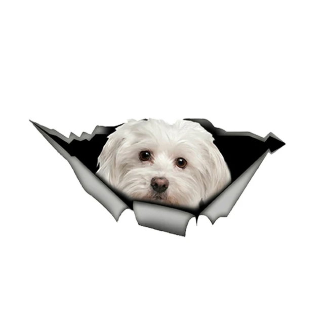 LYKX Lovely Maltese Pet Dog Car Sticker Decoration Waterproof Window Boot Decal Motorcycle Cover Scratch PVC Decals 2