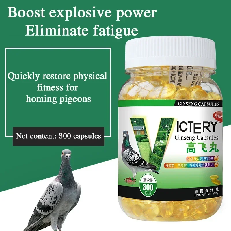 Pigeon health products 300 enhance explosive power eliminate fatigue quickly restore return home