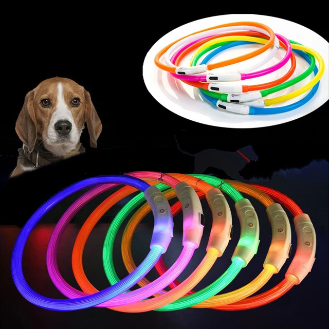 Collier lumineux LED Shoous USB pour animaux de compagnie