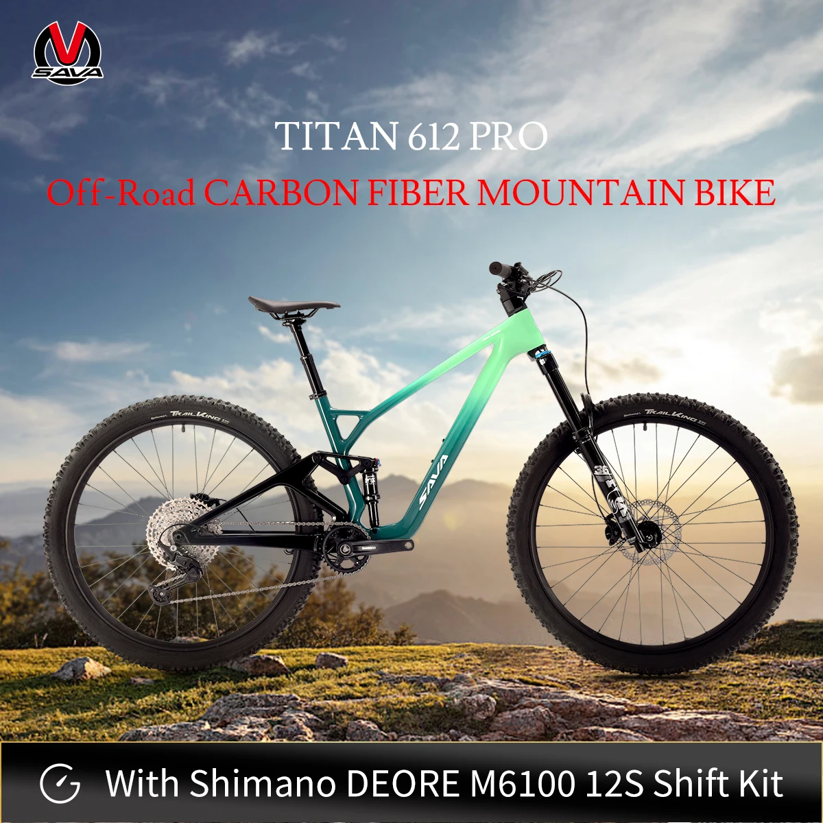 Carbon Fiber Mountain Bike 1