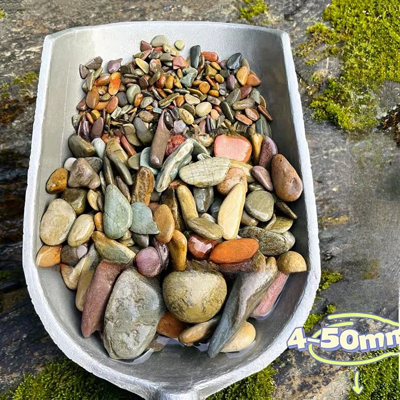 thumbnail image 1 of Piedra de arena para fondo de pecera, 100/200/500 g, para acuario, paisaje, arroyo nativo, piedra de arena natural, accesorios de bricolaje para jardín, decoraciones, 1 of 5