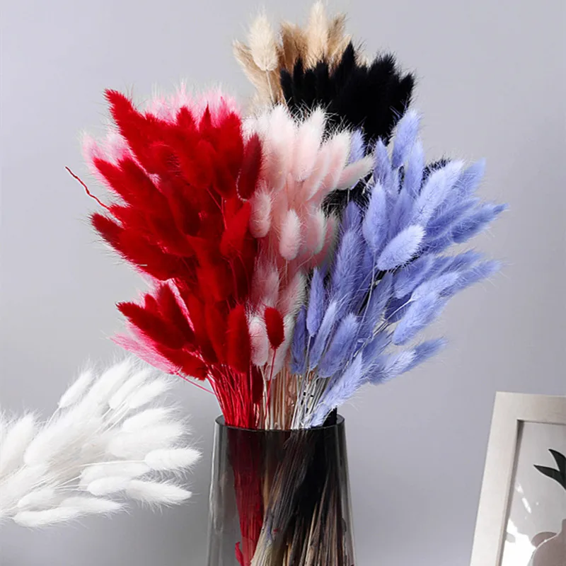 

60Pcs Mix Lagurus Bunny Tails Pampas Grass Decor Home Cake Decor Rabbit Tails Dried Flowers Bouquet for Boho Table Decoration