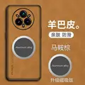 Magnetic Brown