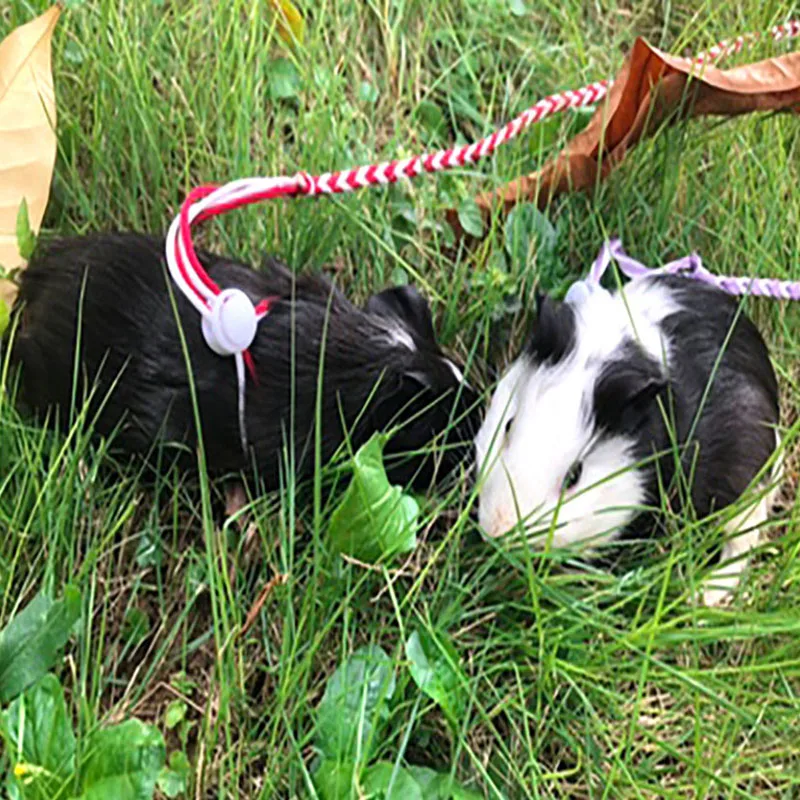 1.4m Adjustable Rabbit Hamster Harness Leashes Outdoor Leads Small Animal Pet Accessories Gerbil Cotton Ropes Harness Lead rabbit harness and leash set,rabbit harness set,small pet leash