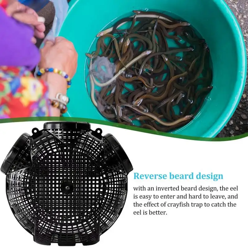 Bait Traps For Fishing Portable Crawfish Trap 3/6/8 Holes Crawdad Shrimp  Net Cage Fishing Accessories For Catching Fish Shrimp - AliExpress