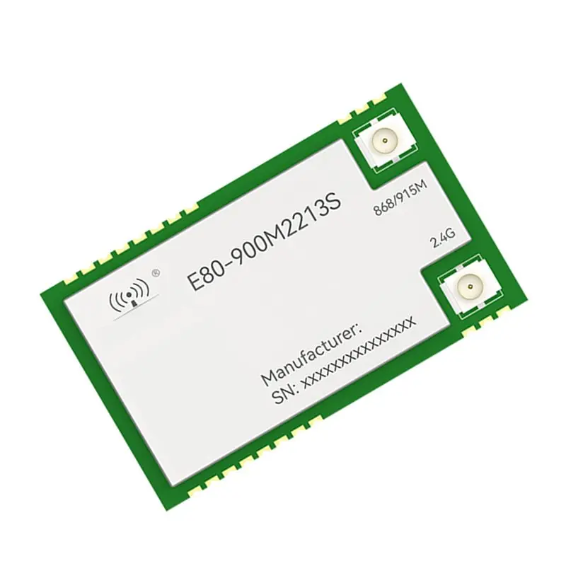 【RECOMENDAR】2X LR1121 Lora 스프레드 스펙트럼 모듈 듀얼 밴드 868Mhz 915Mhz 2.4G SMD TCXO CDEBYTE E80-900M2213S SPI RF 모듈 서브-모듈