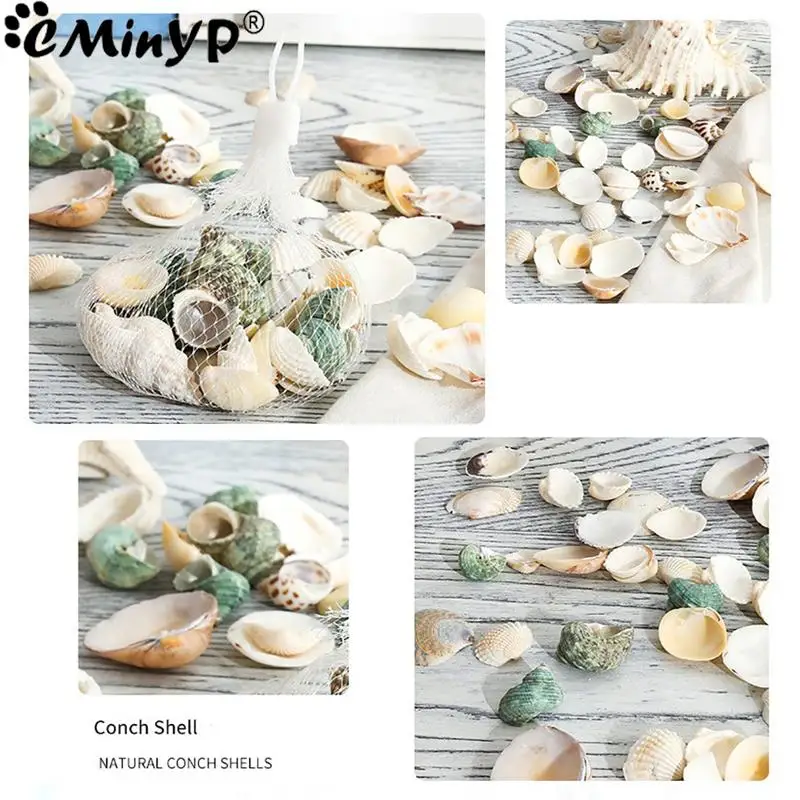 100g/bag Natural Mini Conch Mediterranean Mixed Real Small Sea Shells Nautical Ornaments for Fish Tank Aquarium Decoration