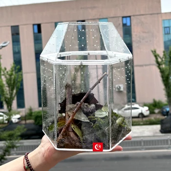 Acrylic Spider Habitat Terrarium 1