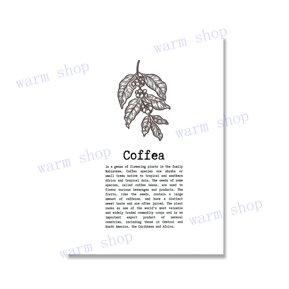 thumbnail image 1 of Póster de curiosidad, ciencia, universo, minimalista, imprimible, planta de semillas de café, pintura en lienzo sónica cuántica, decoración de pared para aula, 1 of 5