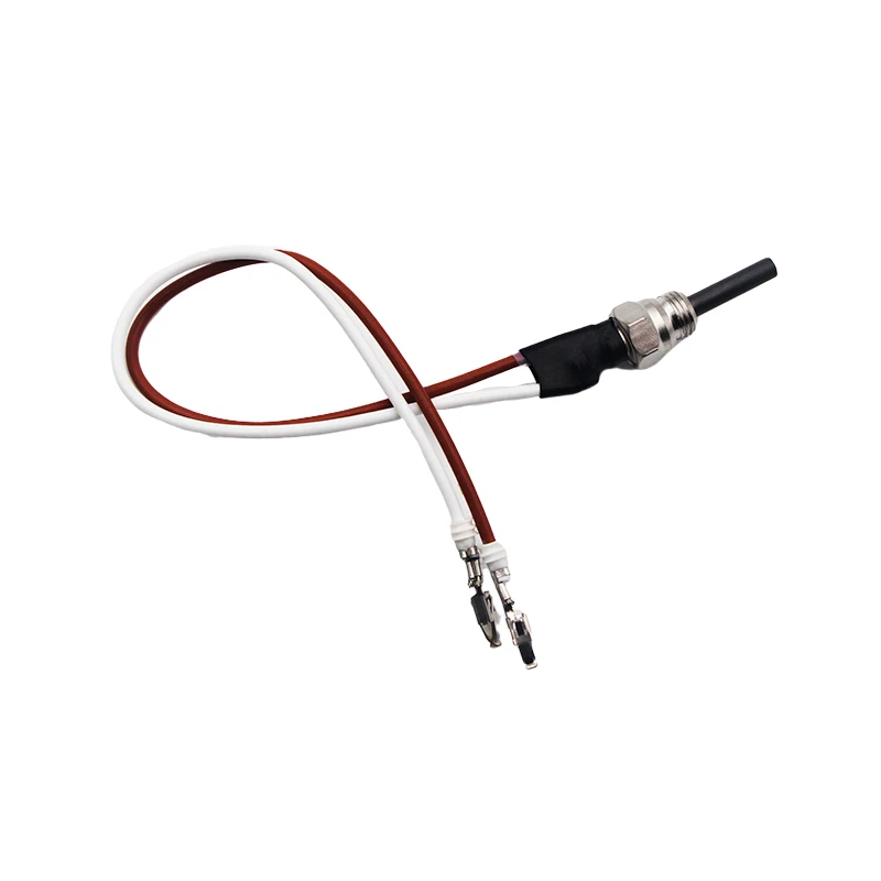 For Eberspacher Hydronic Heater Glow Plug 252106011000 D3wsc D4wsc D5wsc  12v Coolant Parking Heater Glow Pin - Heater Parts - AliExpress