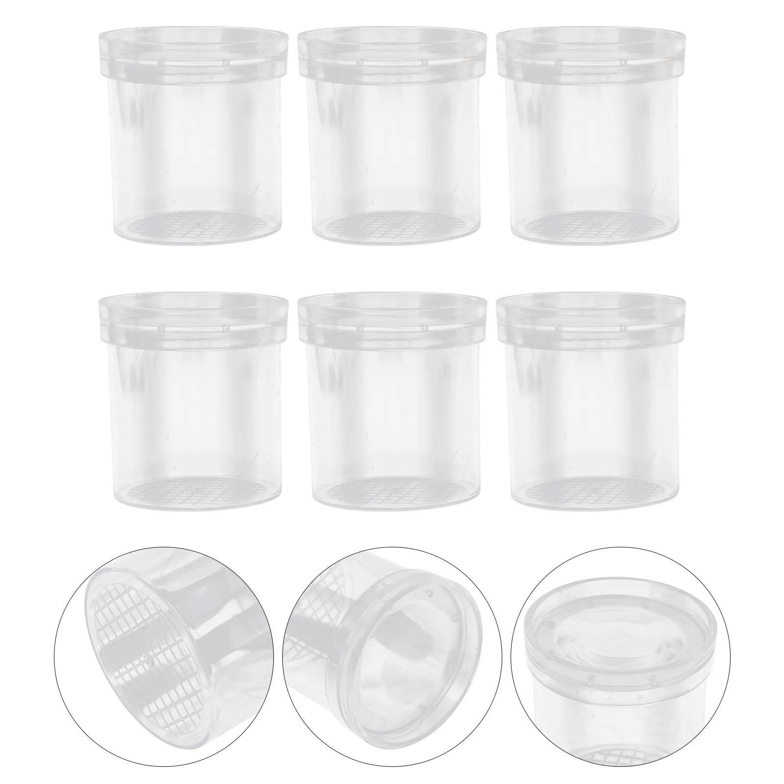 

Bug Insect Kids Viewer Box Magnifying Cage Jar Catcher Magnifier Cup Critter Outdoor Toys Collection Toy Reptile Plastic