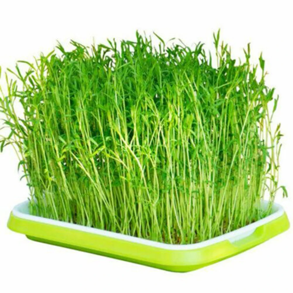 1Set Hydroponics Sprouter Sprouting Tray Double Layer Horticultural Plate Nursery Garden Plants Germination Pots