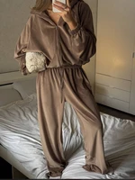Ensemble 2 pièces en velours pour femmes, pantalon décontracté, veste Cardigan à capuche avec fermeture éclair et pantalon ample, survêtement de Sport, automne hiver 3