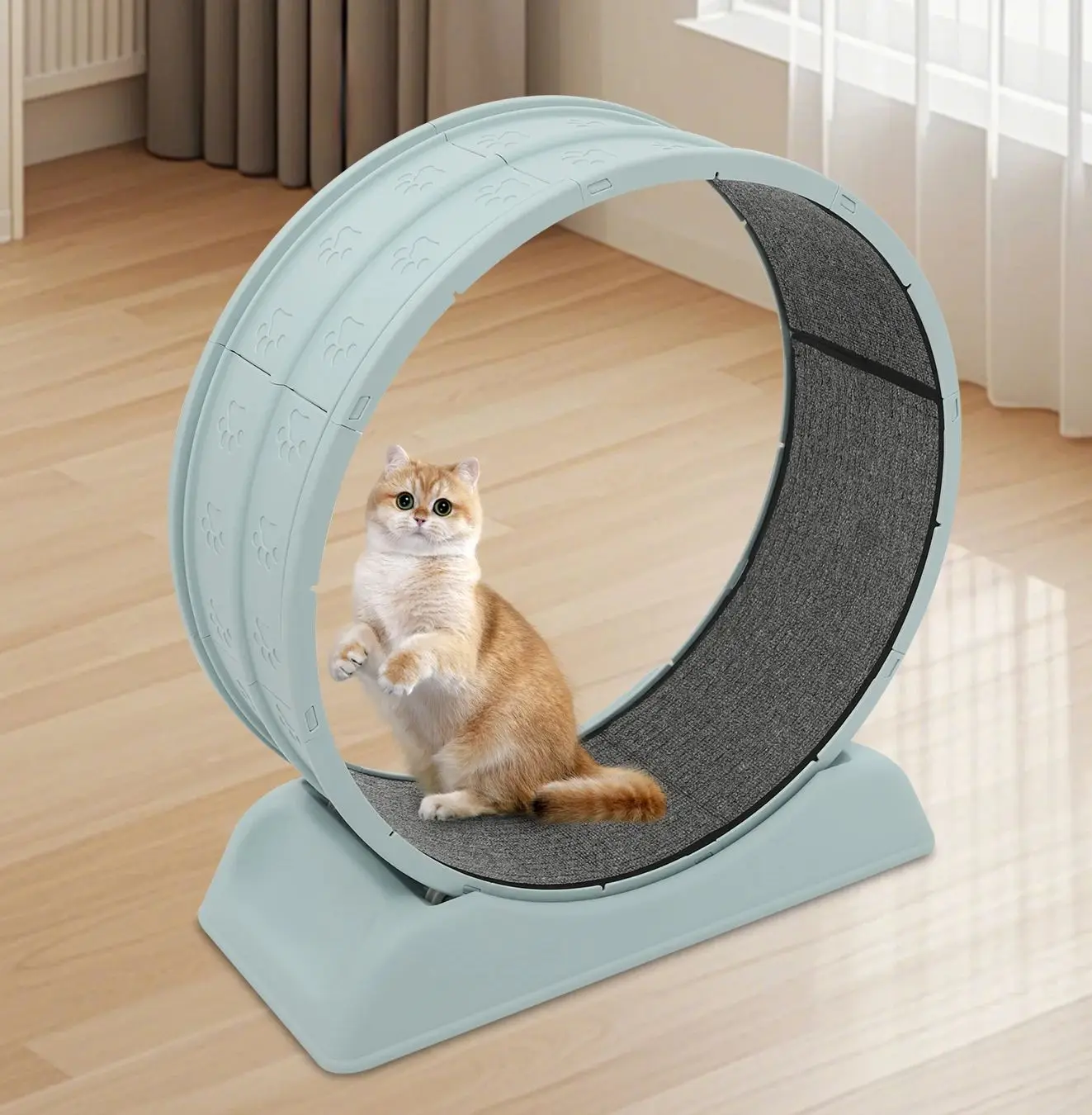 Tapis roulant per gatti, ruota per esercizi di 80 cm a casa, rulli per esercizi facili da montare per gatti e cani di piccola taglia, capacità di carico di 10 kg