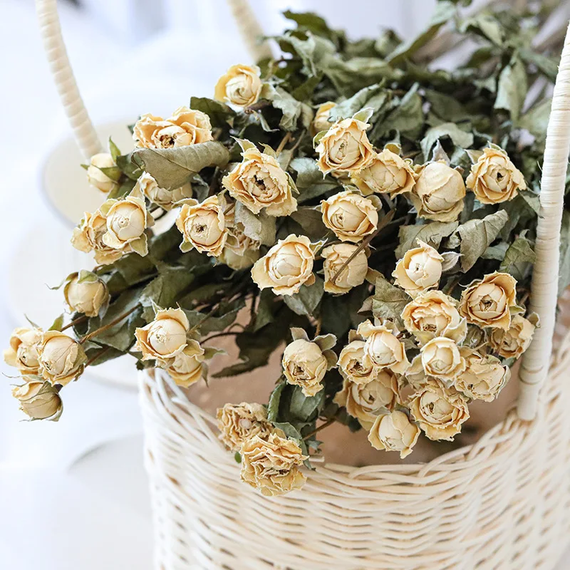 Natural-Preserved-Dried-Flower-High-Quality-Rose-Wedding-Bouquet-Home ...