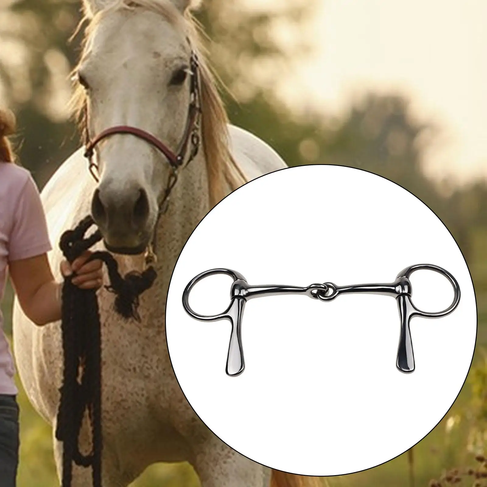 Horse Bit Mouth Snaffle Bit Supplies Gift Equestrian Accessories Metal Horse