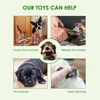 Squeaky Puppy Toys Plush Puppy Chew Toys for Teething Training Dog Toys for Small Dogs Toys for Cute Monkey Interactive Dog Toys 3