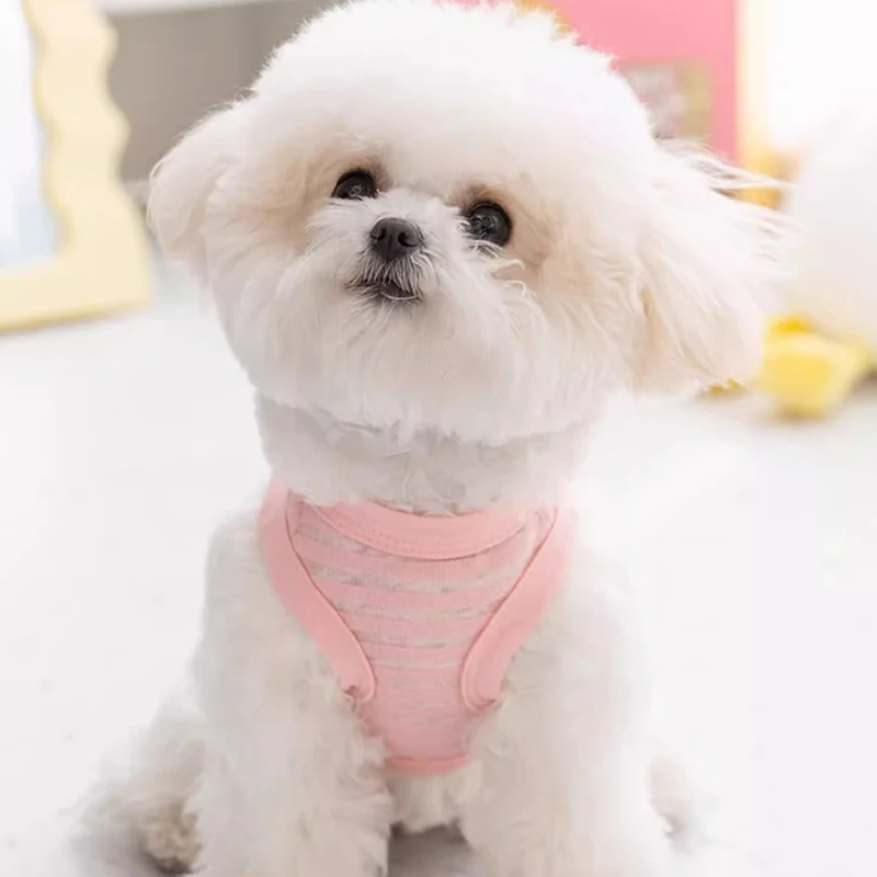Dog Clothes Breathable Mesh Pet Dog Vest Dog Summer Clothes Thin Cooling T Shirt Chihuahua Bichon Costume Cat Clothing Girls Puppy Shirt