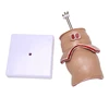 Anatomy Model Human Rectal Hemorrhoid Lesion Model Hemorrhoid Fistula Fistula Fissure Pathology Teaching Model 2