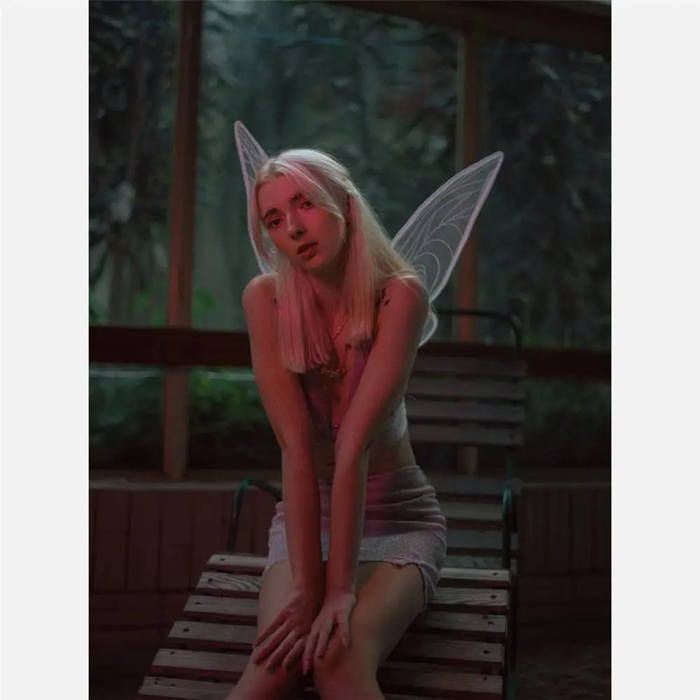 Butterfly Fairy Wings 3