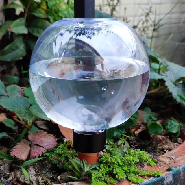 2pcs 500ml Ball Type Automatic Watering Device Lazy Flower Water Device Seepage Device Trade Watering Foreign -border E2e9 6