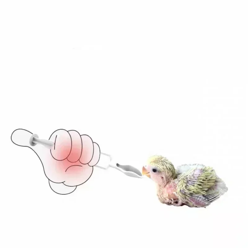 Parrot Specific Feeding Spoon Tool, Syringe, Pigeon Formula Thermometer, Needle Tube, Feeder, Graduated Cup
