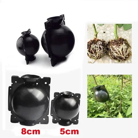 

Plant Root Growing Box 5pcs Grafting Rooting Ball Breeding Case For Garden Tools
