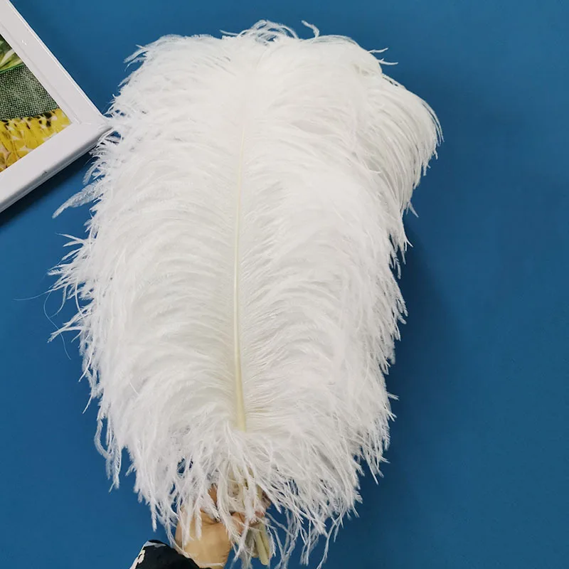 

10pcs/lot Fluffy Big White Ostrich Feathers Wedding Home Decoration 65-70cm Ostrich Plumes Table Centerpiece Crafts