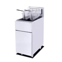 Gas Fryer Vertical Temperature Controlled 2/3 Tube Single Cylinder Double Screen Electric Fried Chicken Hamburger Shop Equipment 1
