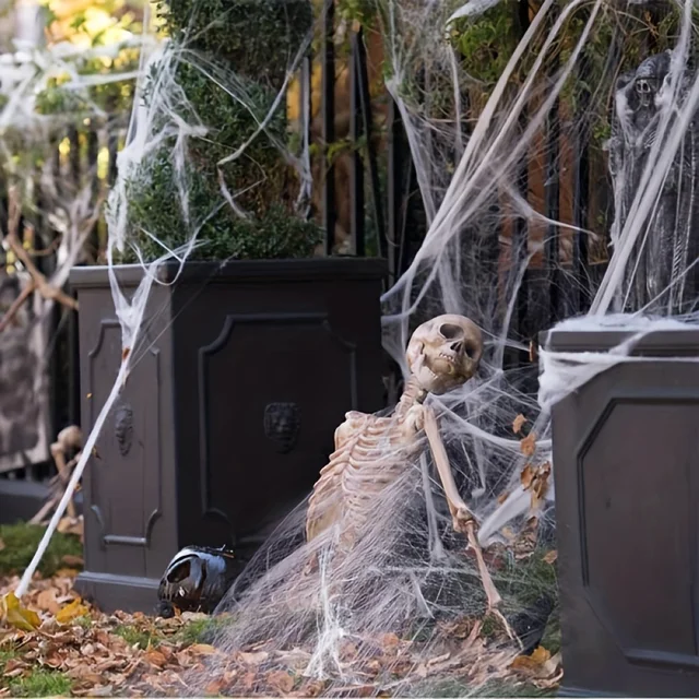 2PCS Halloween Spider Web Set 4