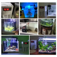 Refroidisseur d'aquarium domestique 20l, petit réfrigérateur électronique à semi-conducteur de corail à température constante 5