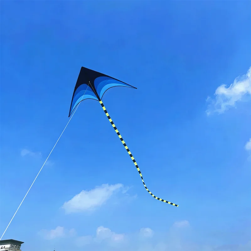 1,6 m Delta-Drachen, Winddrachen, Outdoor-Spielzeug für Kinder, Flugdrachen, Sport, Strand, professioneller Drachen, Oktopus-Drachen, Kevlar – Detail 14