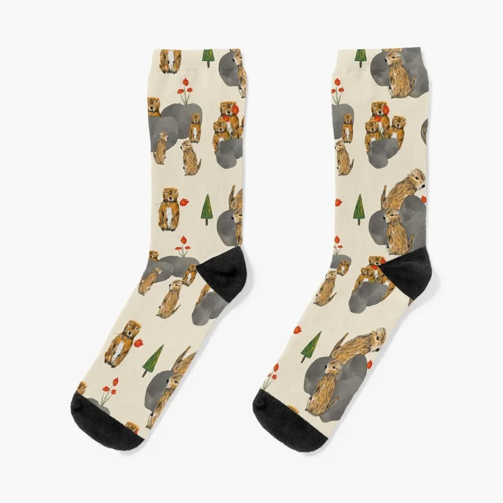 Cute and Quirky Marmots Socks christmas stocking hiphop floral Mens Socks Women's