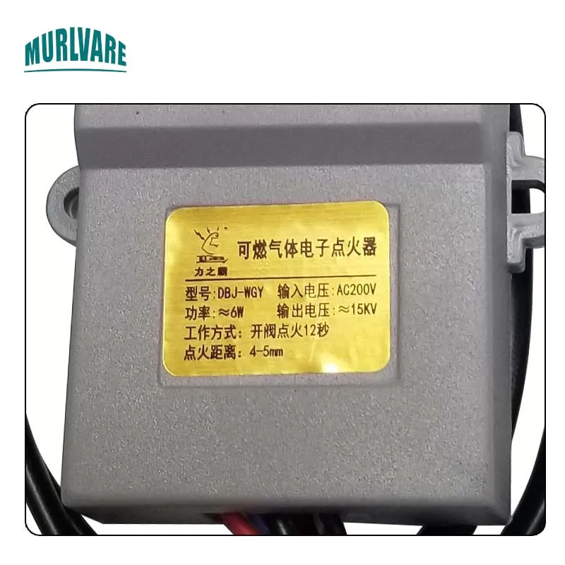 Hotel Stove Kitchen Controllable Fan Open Valve Igniter Combustible Gas Electronic Igniter For Stove