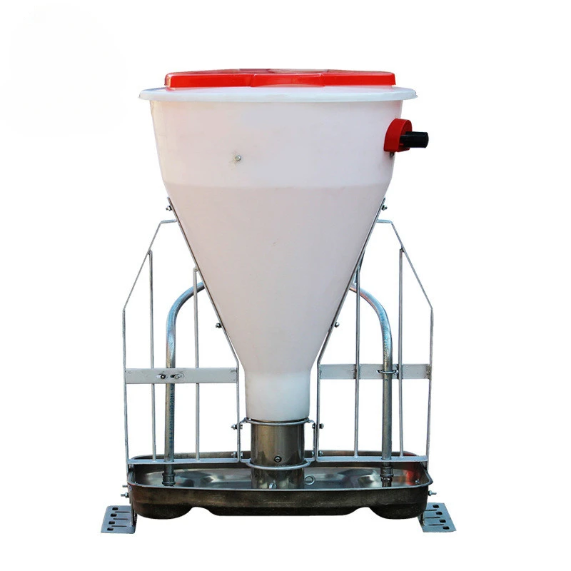 

automatic pig piglet food feeder trough for pig