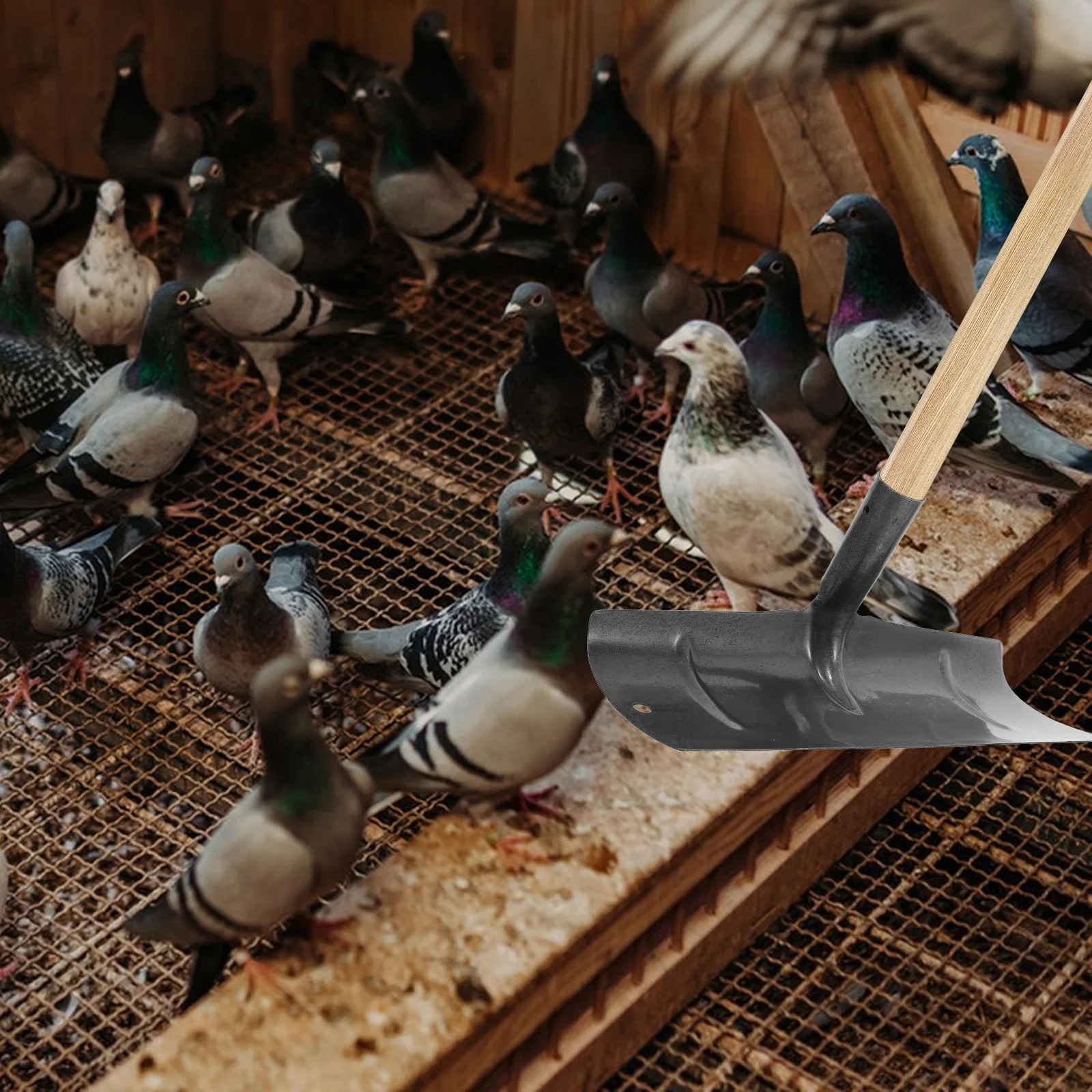 Metal Farm Pigeon Manure Multi Functional For Livestock And Poultry Farmhouse And Gardening