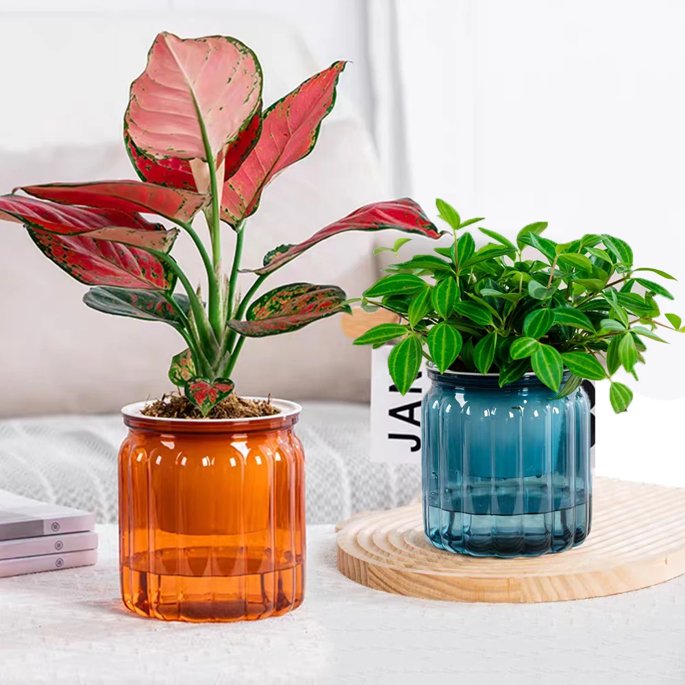 Plastic Tabletop Flower Pots Decor Self Watering Flower Pots Home Decoration Tabletop Vase Transparent Hydroponic Plants Pots - 2
