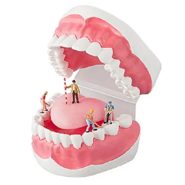 Merlin Dental Materials Store