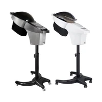 Big Micromist Professional Ultrasonic Micro Mist Ozone Hair Salon Steamer With Stand&Hair SPA Standing O3 Hair Steamer 1