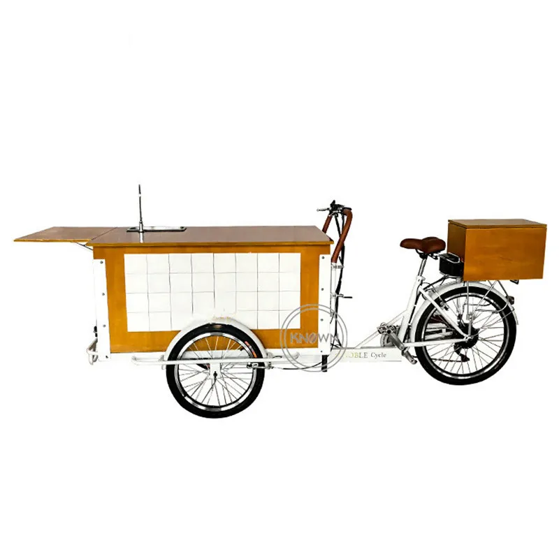 250W Electric Mobile Coffee Bike 3 Wheeler Cargo Bicycle Reverse Trike Street Snack Cart Triciclo Per Adulti Mobile Food Cart