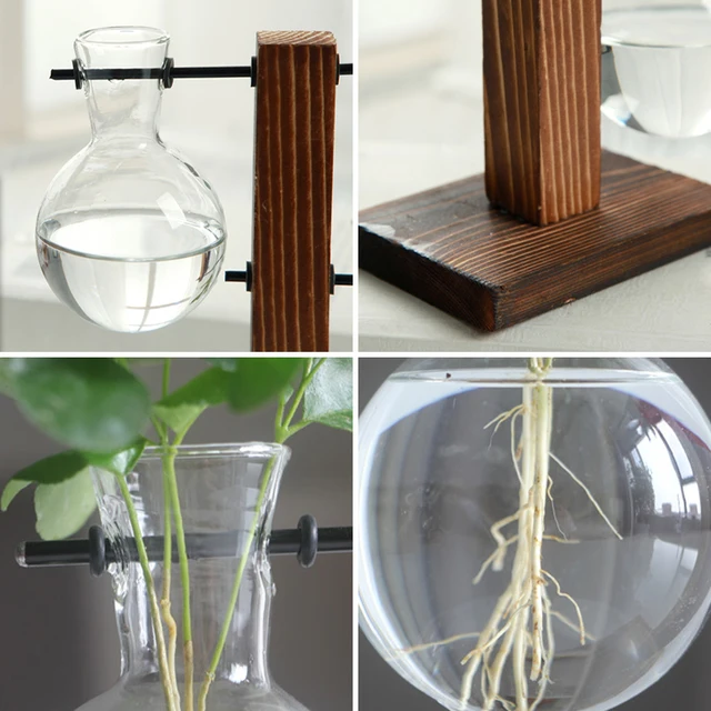 Hidroponikus Vázák Virág Edény Terrárium Üveg Növényi Fa Növények Polcok Housinér Bonsai Asztali Ház Dekoráció - Image 6