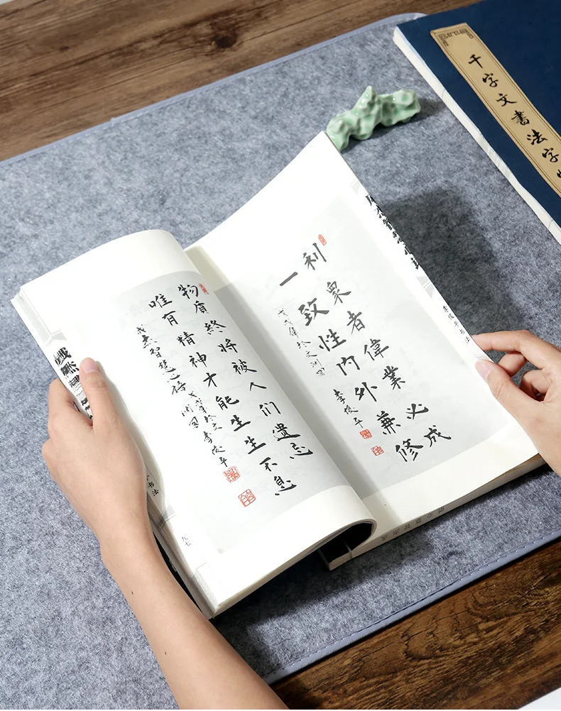 Dicke chinesische Kalligraphie-Zeichnungsfilzmatte, Sumi-Xuan-Papier-Malerei-Schreibtischunterlage zum Schreiben japanischer traditioneller Zeichnen, Grau – Detail 9