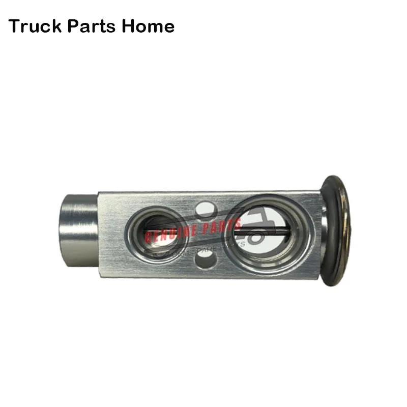 Expansion Valve/air Regulating Expansion Valve For Mercedes-benz 