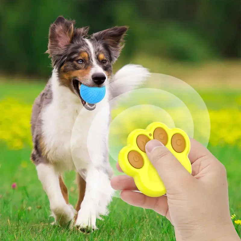 Automatic Dog Ball Smart LED Light Rolling Dogs Toys Self Moving Cats  Training Kitten Toys Entertaining Gift For Indoor Playing - AliExpress