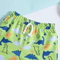 Hedgehog Bathing Suit Toddler Kids Infant Baby Boys Summer Print Shorts Beach Swimwear Swimming Trunks Boys Bathing Suits Size 8 3