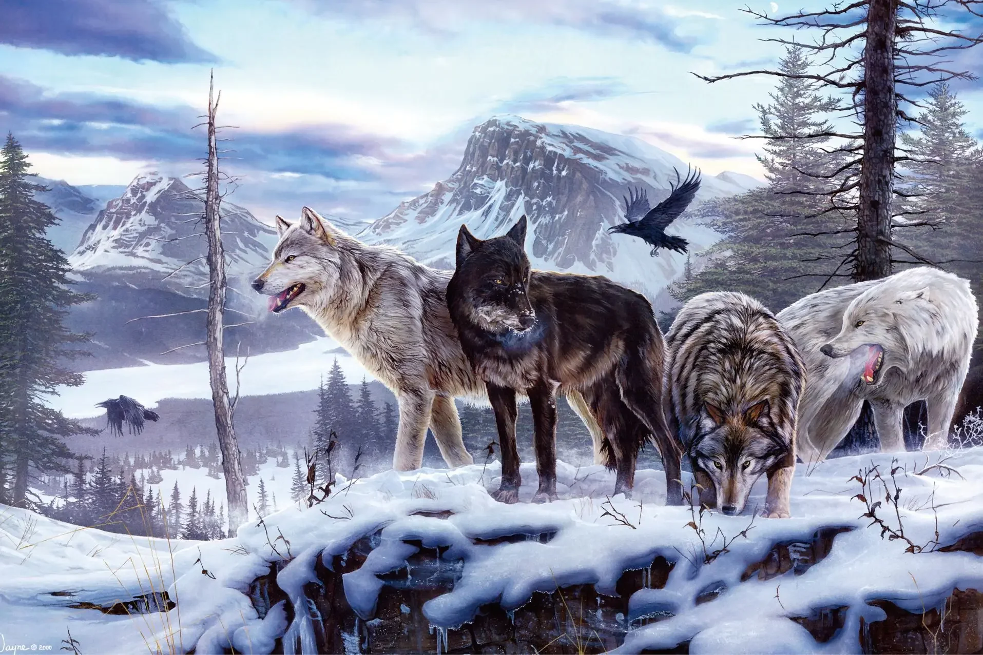 C-037 Wolf