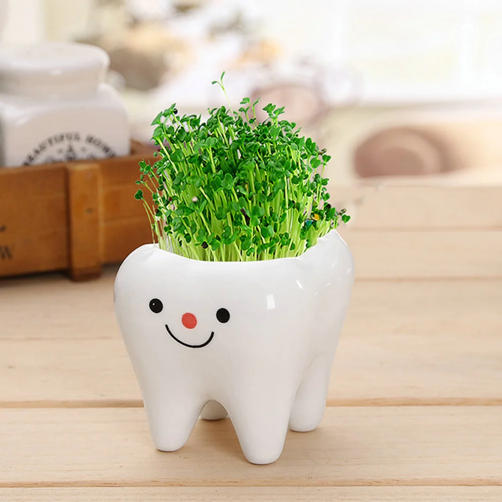 Pots Pot Planter Flower Ceramic Indoor Wall Mini Tooth Container Teeth Holder Bonsai Succulents Planting Planter Pots 3
